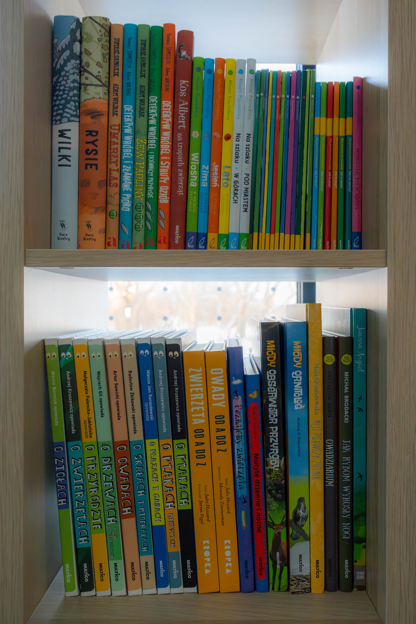 Wspieramy Kamieniową Biblioteczkę – zapraszamy do Pawilonu Edukacyjnego Kamień!