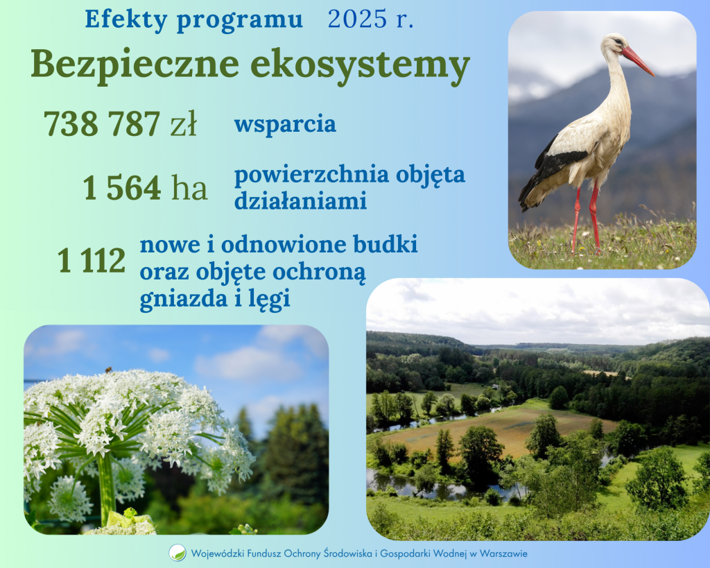 Mazowiecka przyroda pod naszą ochroną – podsumowanie programu w 2025 r.